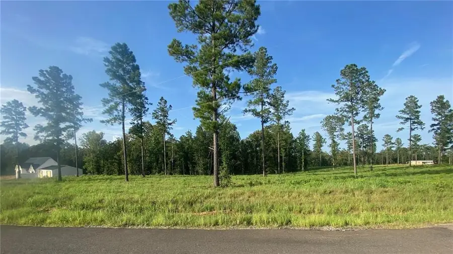 Teekell Lot 5 Road, Boyce, LA 71409 - Image #2