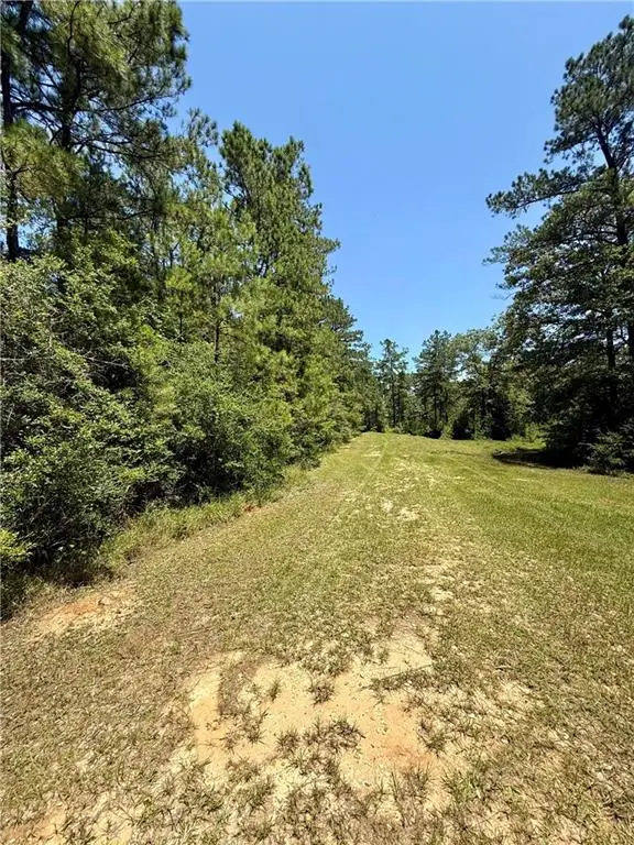 Lake Choctaw Road, Franklinton, LA 70438