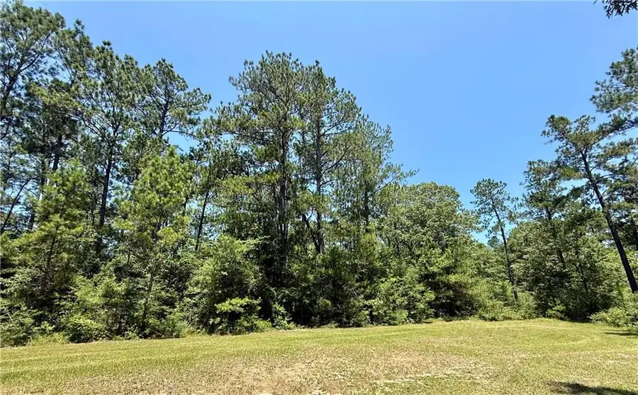 Tba Lake Choctaw Road, Franklinton, LA 70438 - Image #2