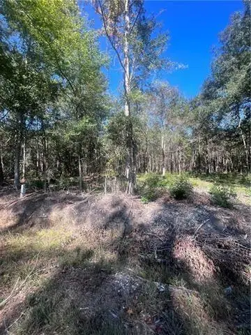 LOT 14 Hwy 40 Highway, Bush, LA 70431 - Image #3