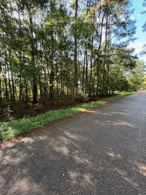 0 Kingbird Street, Covington, LA 70435 - #3