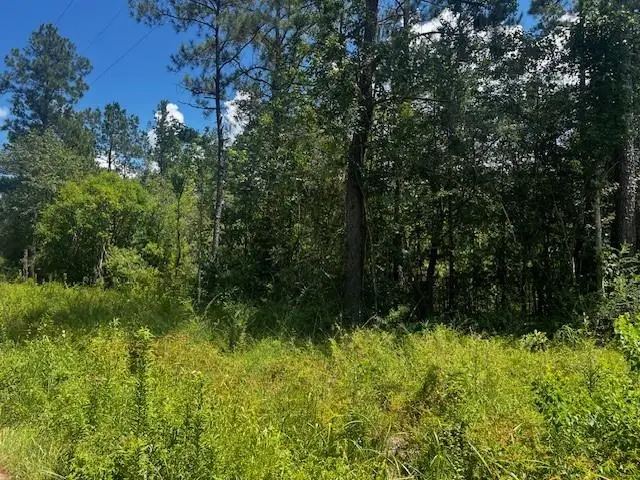 Pruden Road, Covington, LA 70435 - Image #2