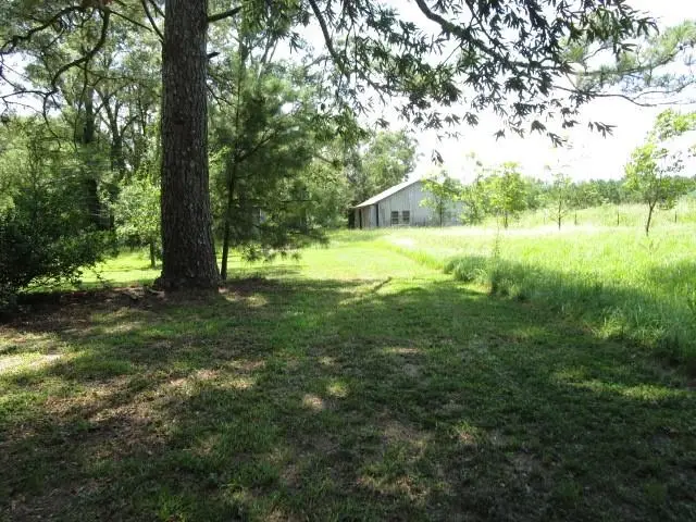 172 Lester Road, Glenmora, LA 71433 - Image #3