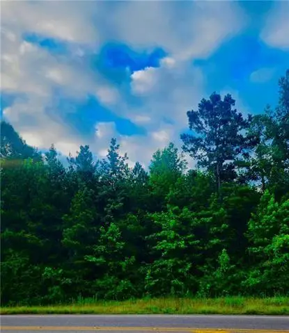 0 E Highway 28 Highway, Pineville, LA 71360 - Image #2