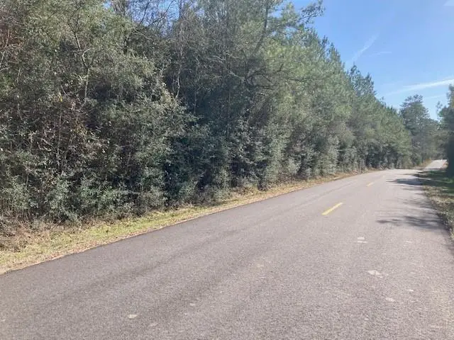 B F Roberts Road, Mount Hermon, LA 70450 - #1