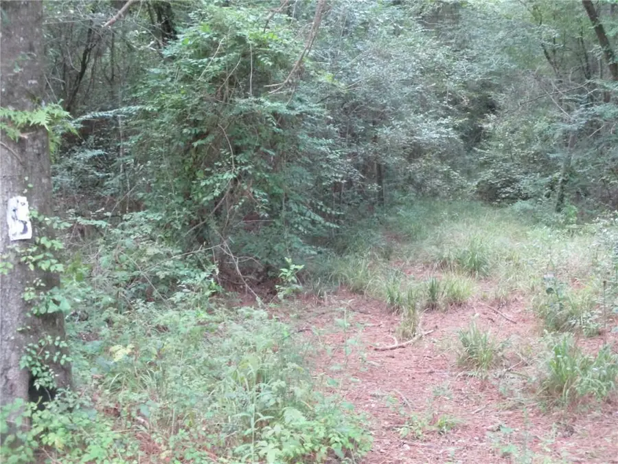 000 Belle Gardner Road, Amite, LA 70422 - #2