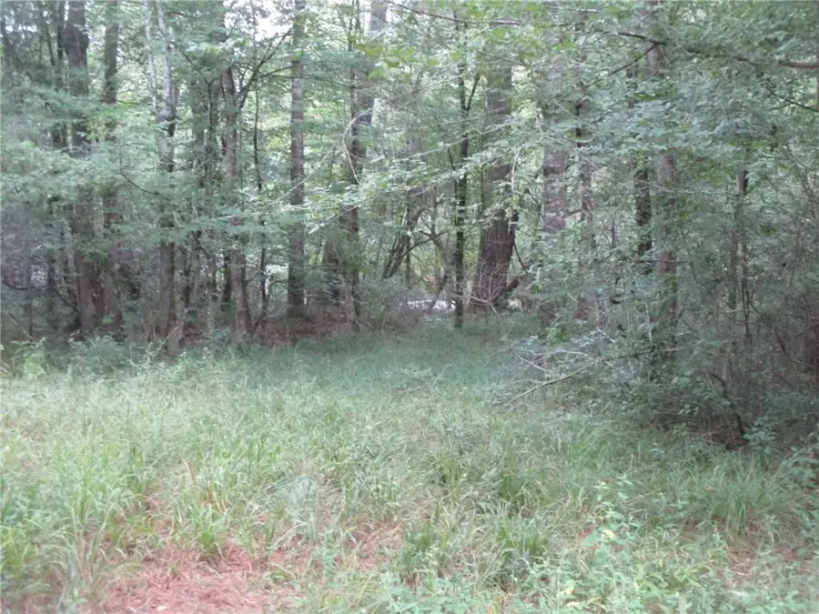 000 Belle Gardner Road, Amite, LA 70422 - #3