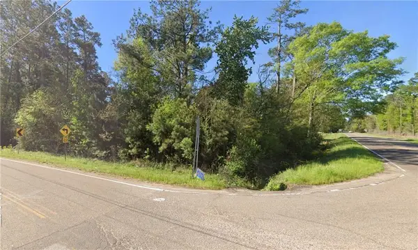 0 River Road 42 Acres Road, Hammond, LA 70401