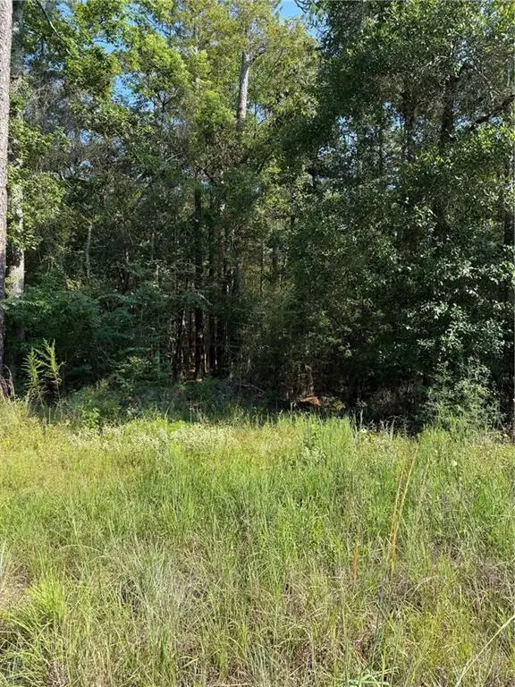 TBD Hwy 190 Highway, Covington, LA 70433 - #2