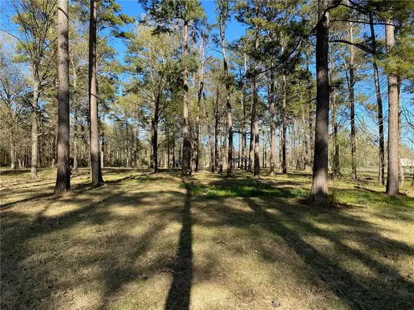 LOT 3 Lou Ann Drive, Colfax, LA 71417