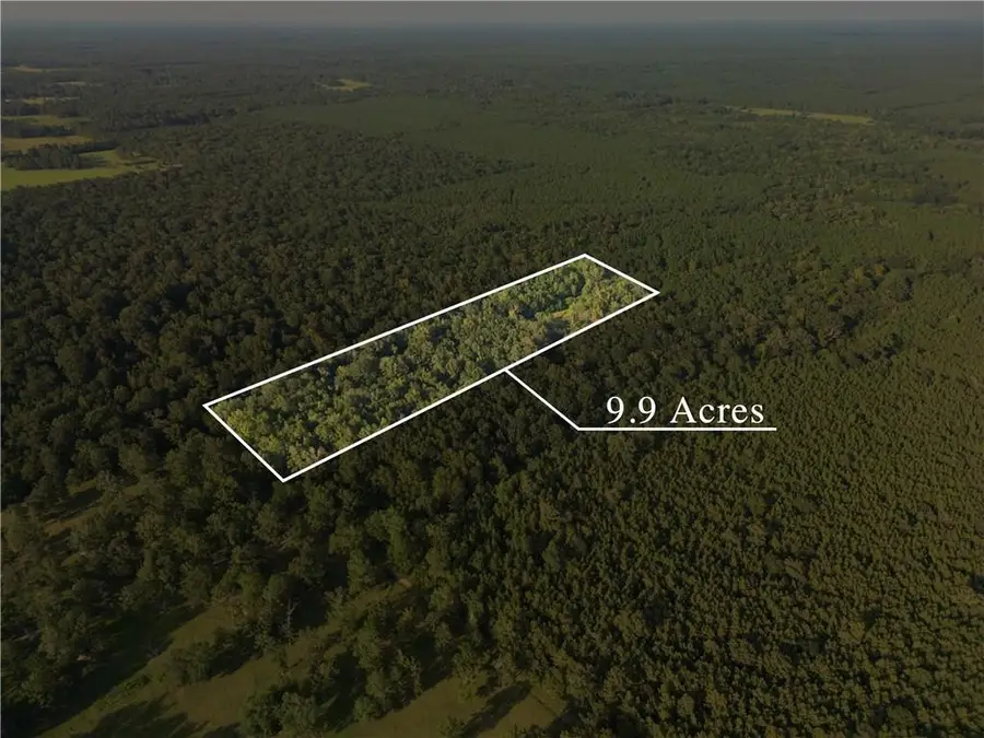 195 Varvarosky Road, Deville, LA 71328 - Image #3