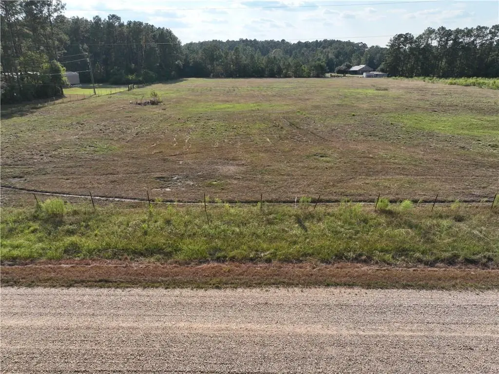 TW-1A2B Karli Lane, Albany, LA 70711 - #1