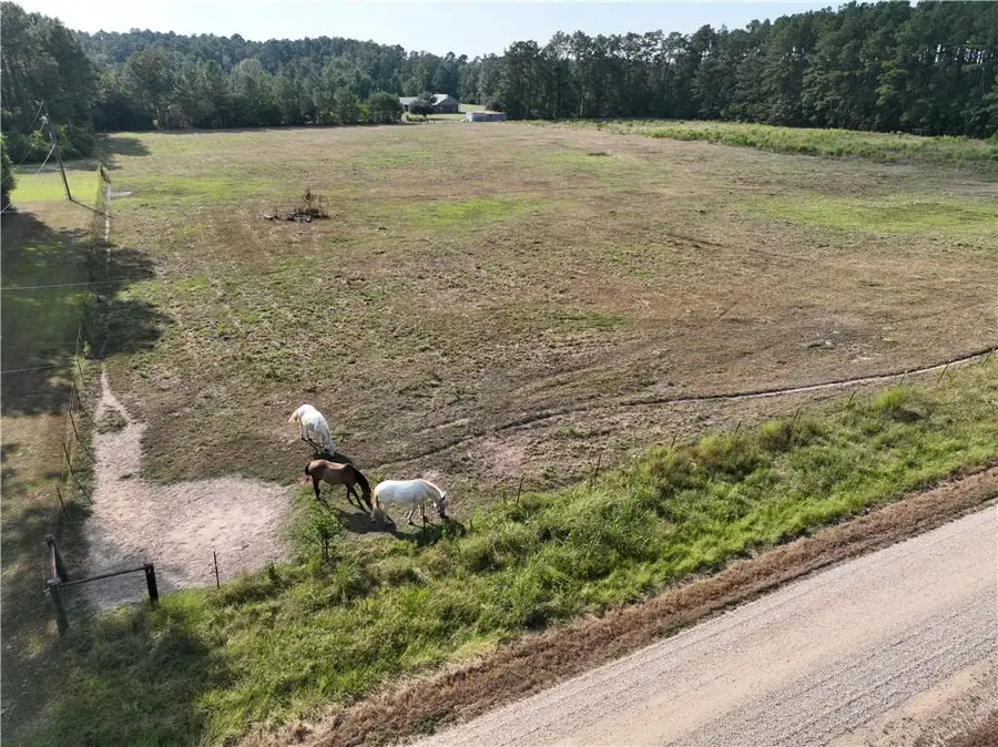 TW-1A2B Karli Lane, Albany, LA 70711 - #2