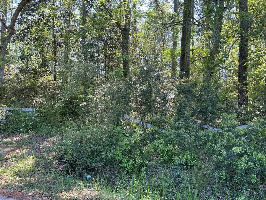 25666 & 1/2 W Beech Street, Lacombe, LA 70445 - #3