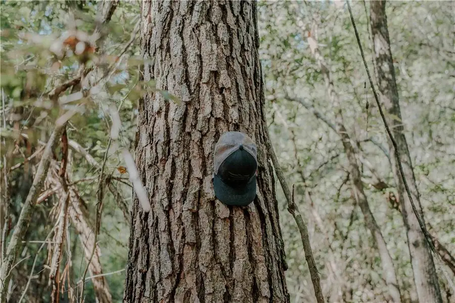 Hwy. 1083 (ben Williams Rd.) Highway, Covington, LA 70435 - #2