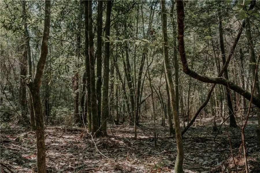 Hwy. 1083 (ben Williams Rd.) Highway, Covington, LA 70435 - #3