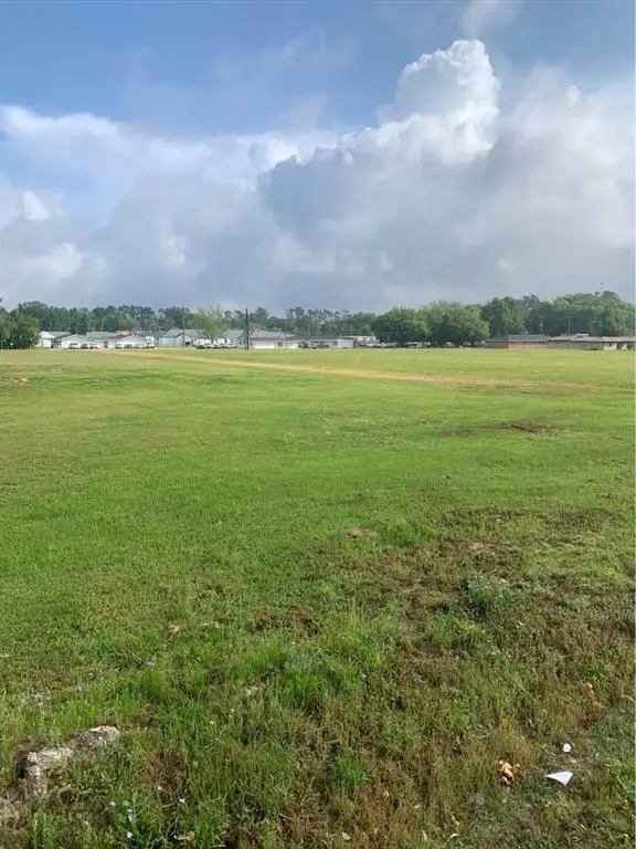 13322 Berry Bowl Road, Independence, LA 70443 - #1