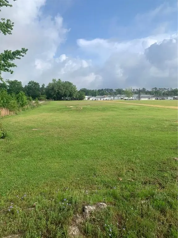 13322 Berry Bowl Road, Independence, LA 70443 - #2