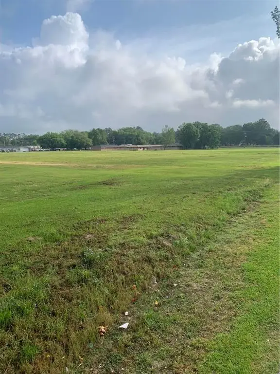 13322 Berry Bowl Road, Independence, LA 70443 - #3