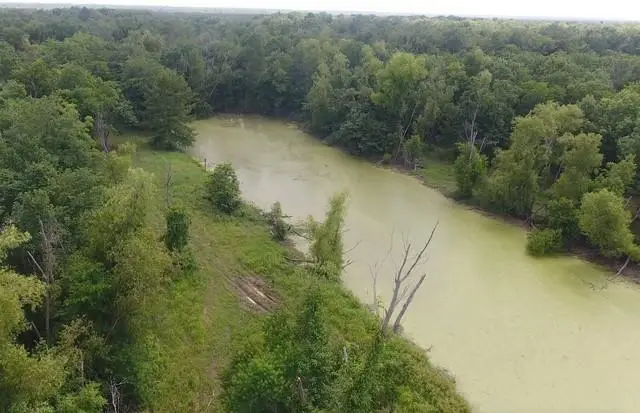 I-49 Highway, Alexandria, LA 71302 - #1