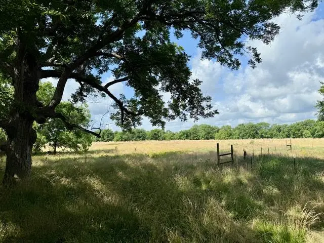 I-49 Highway, Alexandria, LA 71302 - #3