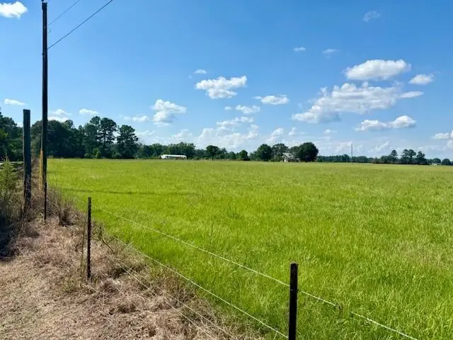 31248 Holmesville Road, Mount Hermon, LA 70450 - #3