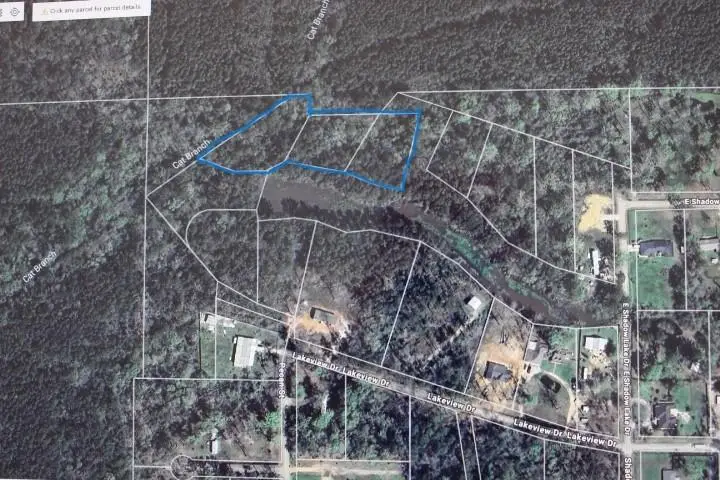 Shadow Lake Drive, Holden, LA 70744 - #1