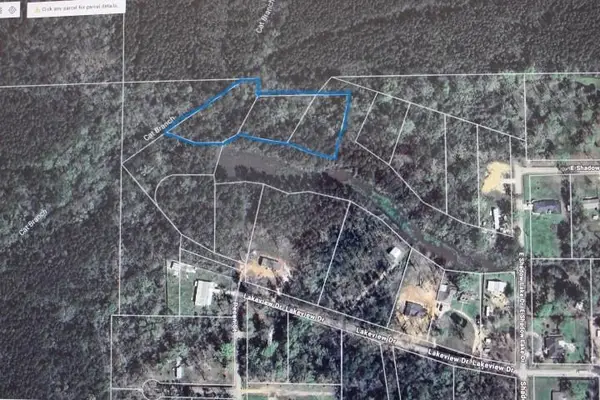 Shadow Lake Drive, Holden, LA 70744