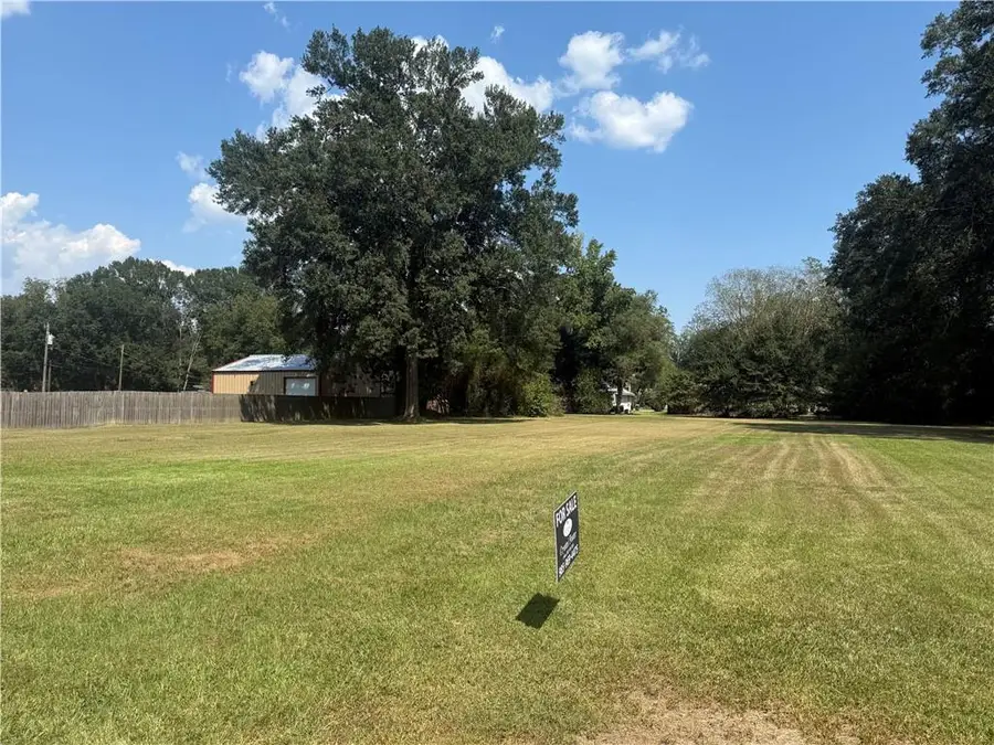 310 N Duncan Avenue, Amite, LA 70422 - #3