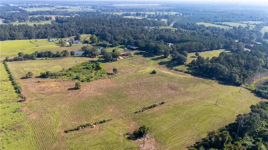 TBD Bennie Morris Road, Mount Hermon, LA 70450 - Image #2