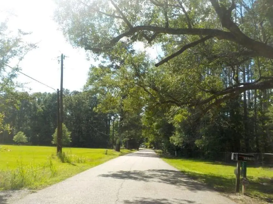 32749 John Barber Road, Holden, LA 70744 - #3