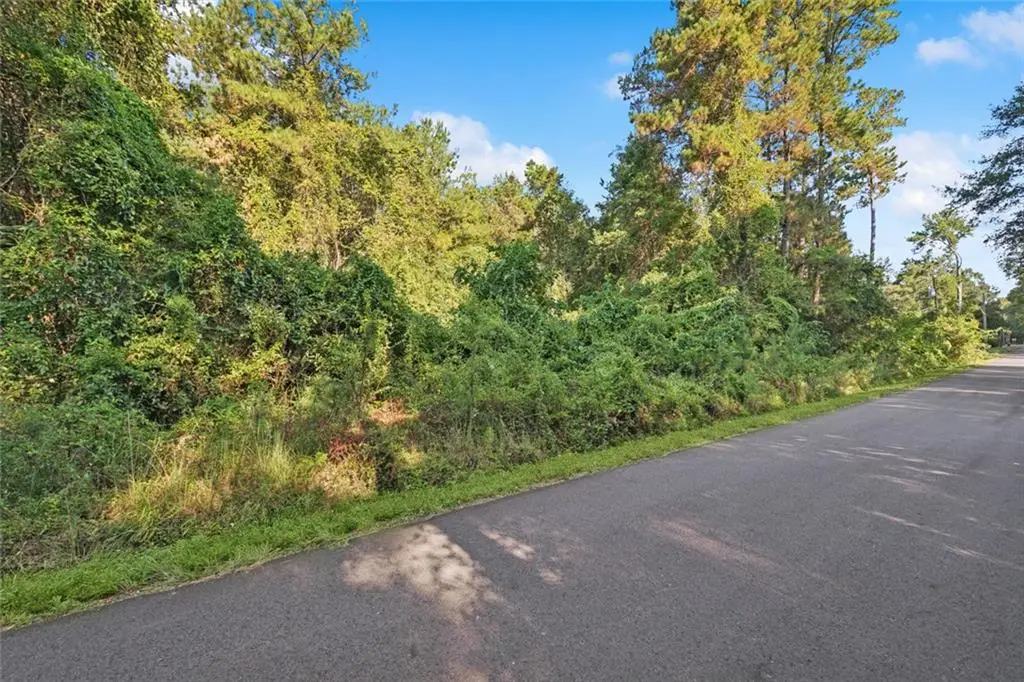 Eugene Wallace Road, Covington, LA 70435 - #1