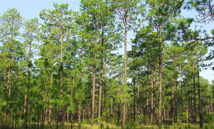 Pine Street Ext, Pearl River, LA 70452 - Image #3