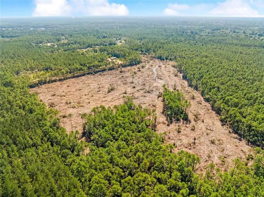 Frank Gilbert Lane, Lacombe, LA 70445 - #2