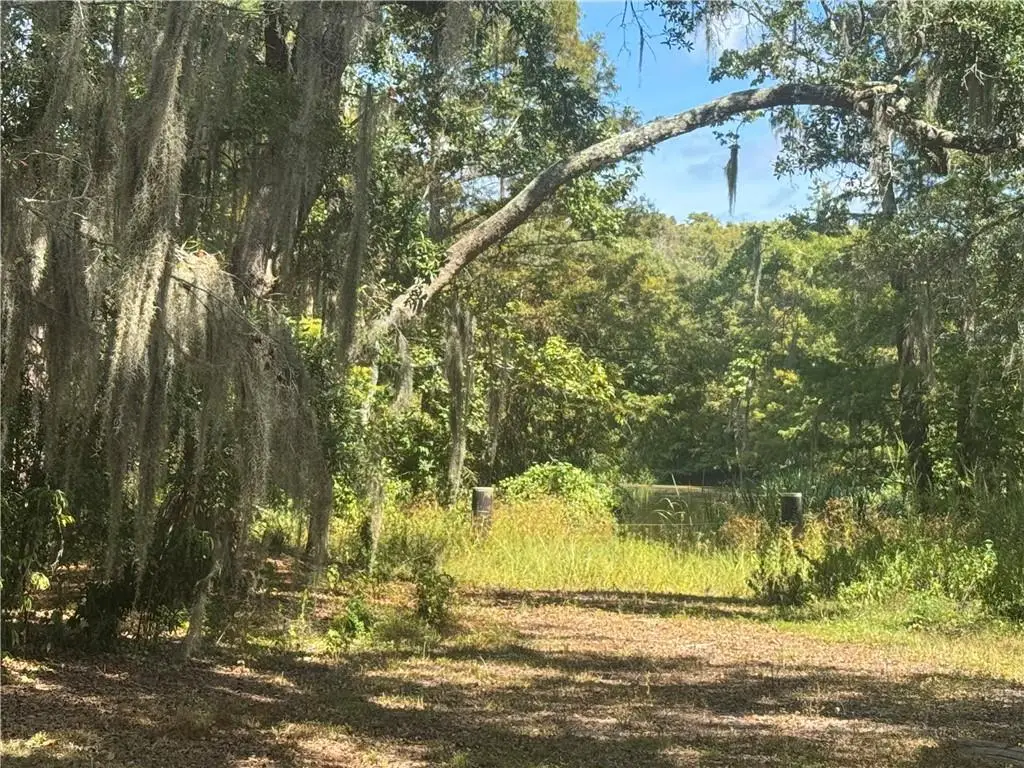 Lemaire Island Road, Slidell, LA 70461 - #1