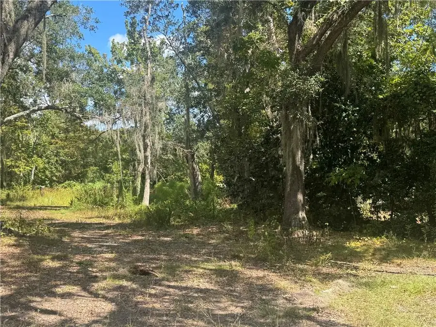 Lemaire Island Road, Slidell, LA 70461 - #3
