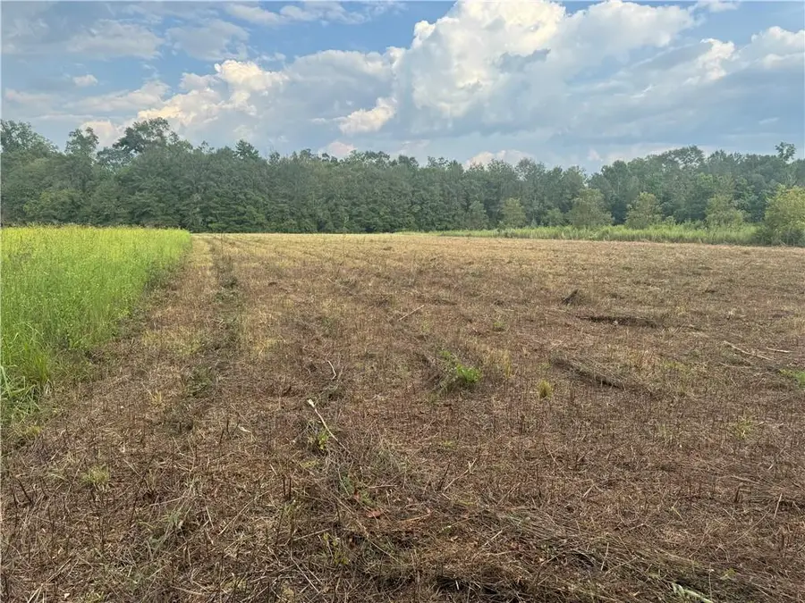 Lonnie Duncan Road, Mount Hermon, LA 70450 - #2