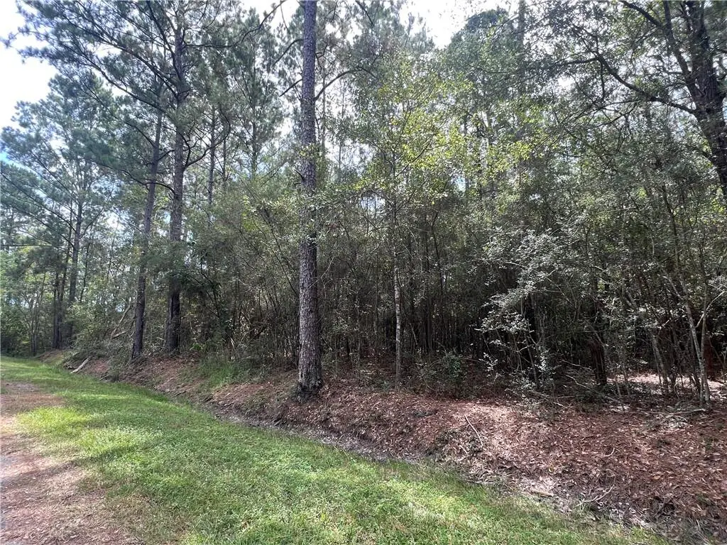 Tampa Circle, Pearlington, MS 39572 - #1