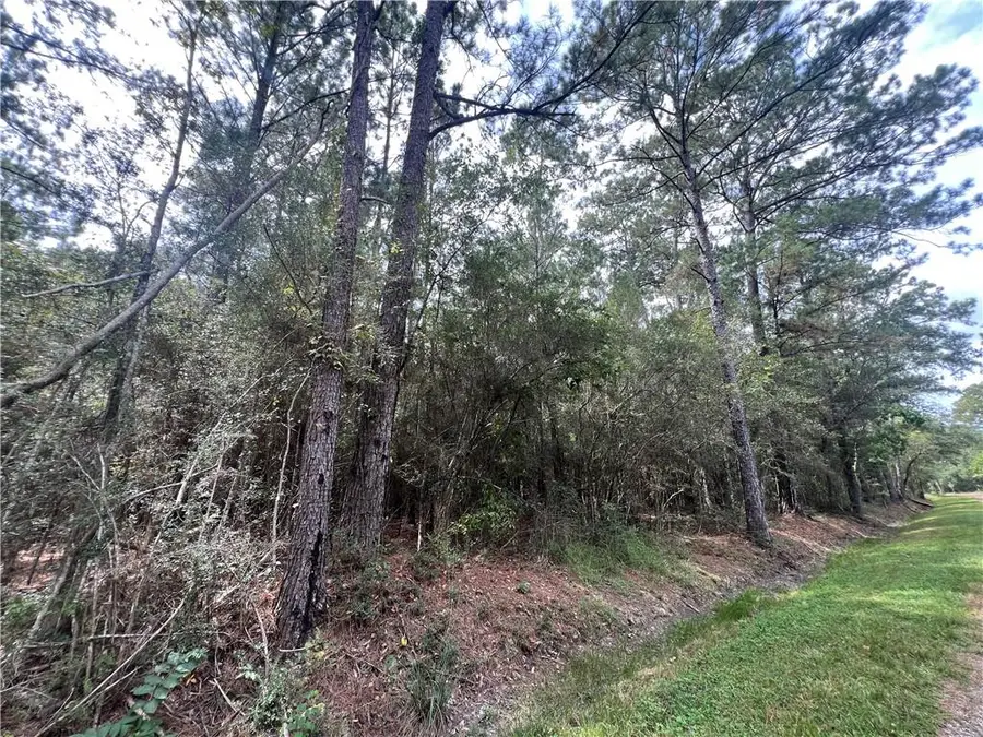 Tampa Circle, Pearlington, MS 39572 - #3