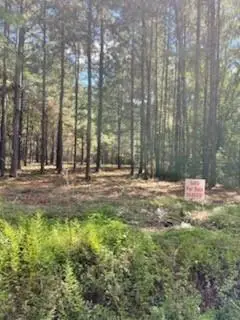 TBD Williams Lake Road, Pineville, LA 71360 - #1