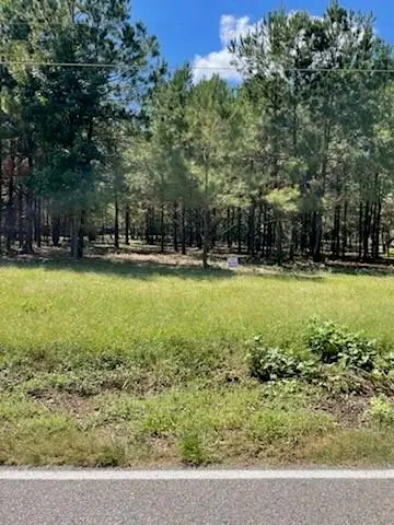 TBD Ryland Road, Pineville, LA 71360 - #1