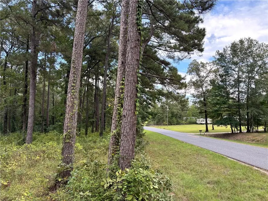 512 Dyson Creek Road, Pollock, LA 71467 - Image #2