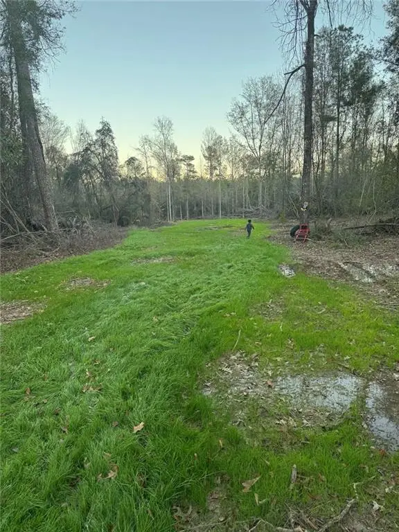 12663 Arcola Road, Roseland, LA 70456 - Image #3