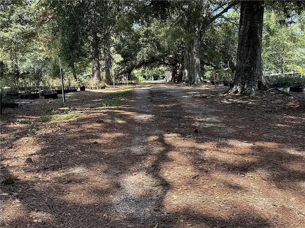 8.8 Acres Joseph's Road, Folsom, LA 70437