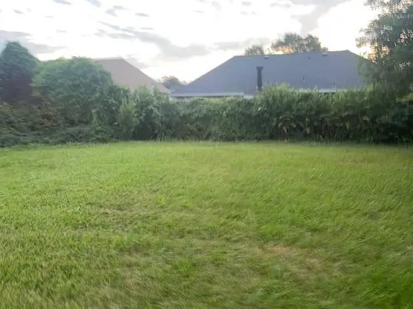 717 River Oaks Drive, New Orleans, LA 70131