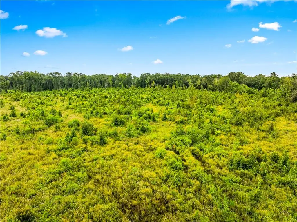 Mcnary Cutoff Lot 3 Road, Glenmora, LA 71433 - #1