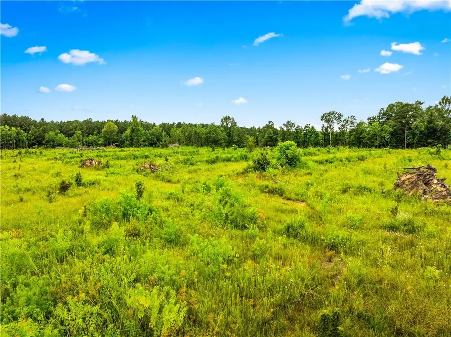 Mcnary Cutoff Lot 3 Road, Glenmora, LA 71433 - #3