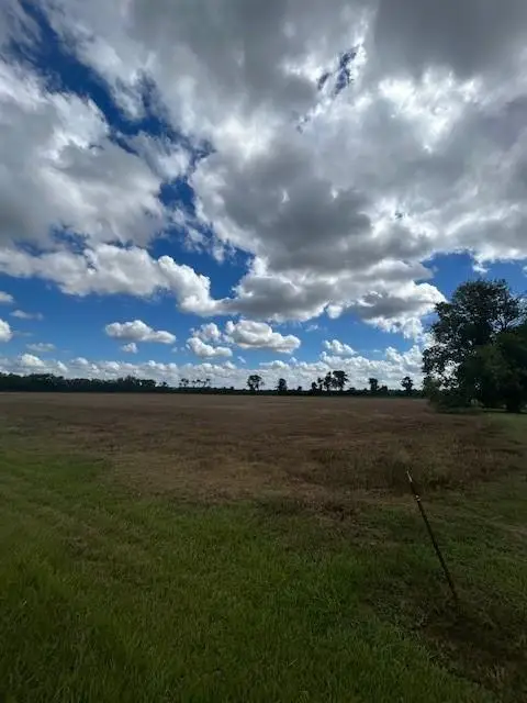 TBD Hwy 115 W Highway, Bunkie, LA 71322