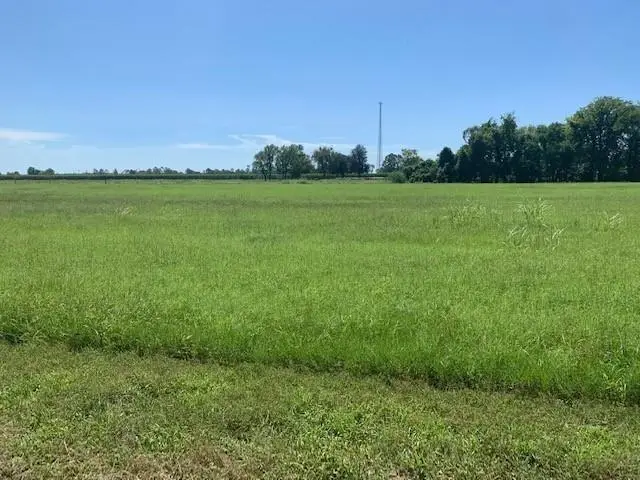 320 Farm Lane, Alexandria, LA 71303 - #1