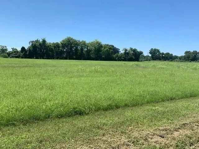 314 Farm Lane, Alexandria, LA 71303 - #2